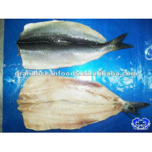 IQF atlantic herring fillet seafood